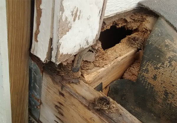 saskatoon floor damage reapir